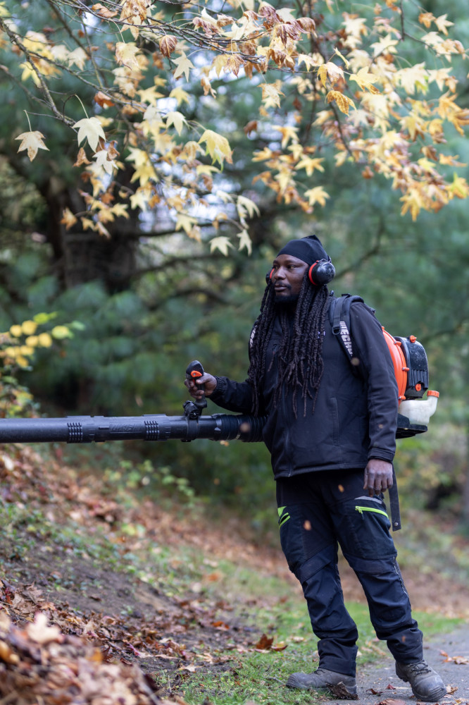 portfolio item photo