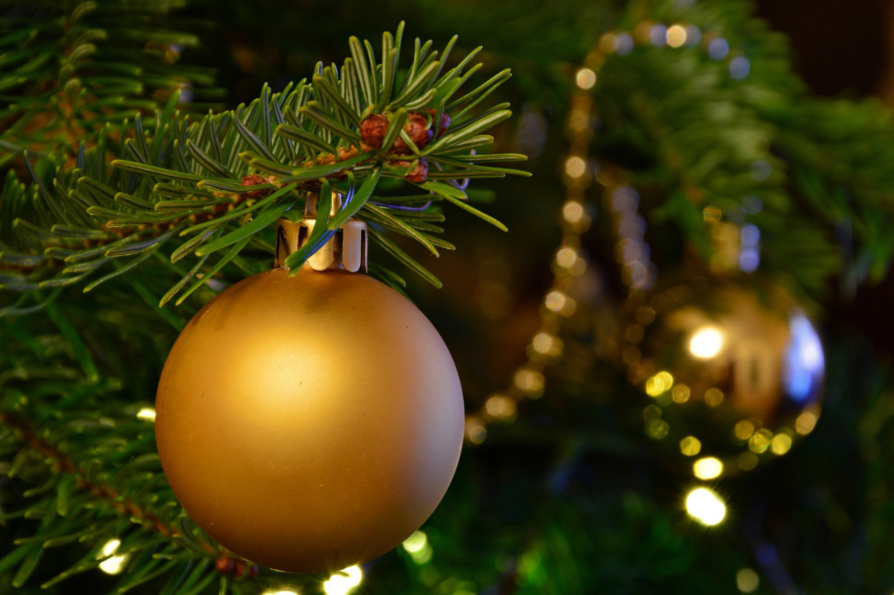 Logo Décorations de Noël