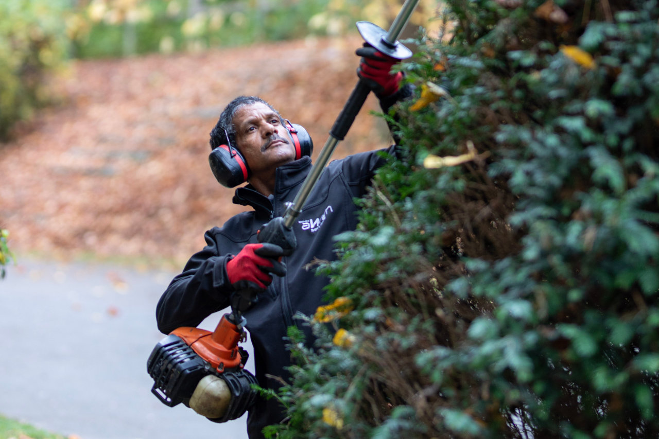 Logo Entretien d’espaces verts